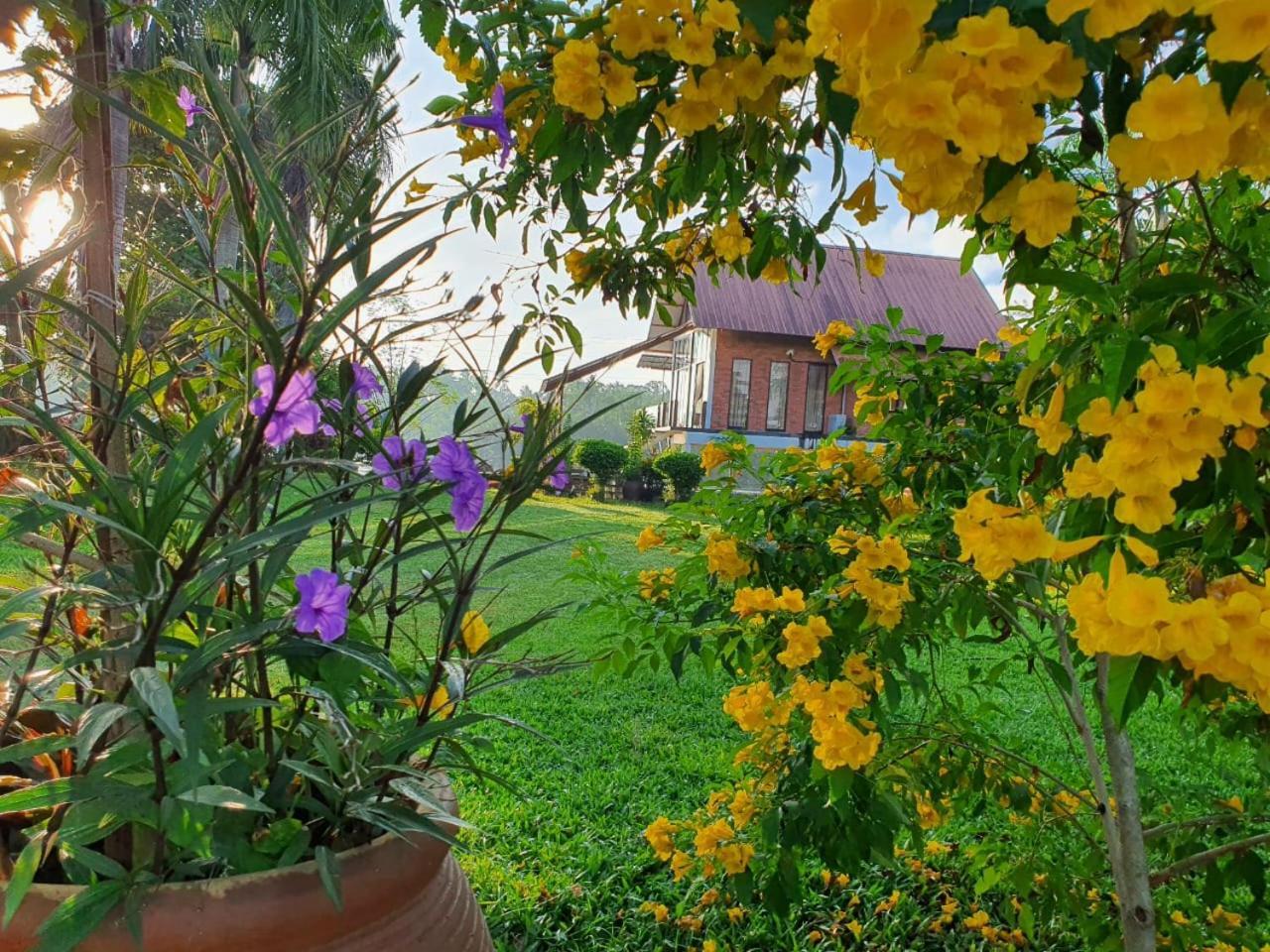 Ala Riverview Holiday home *