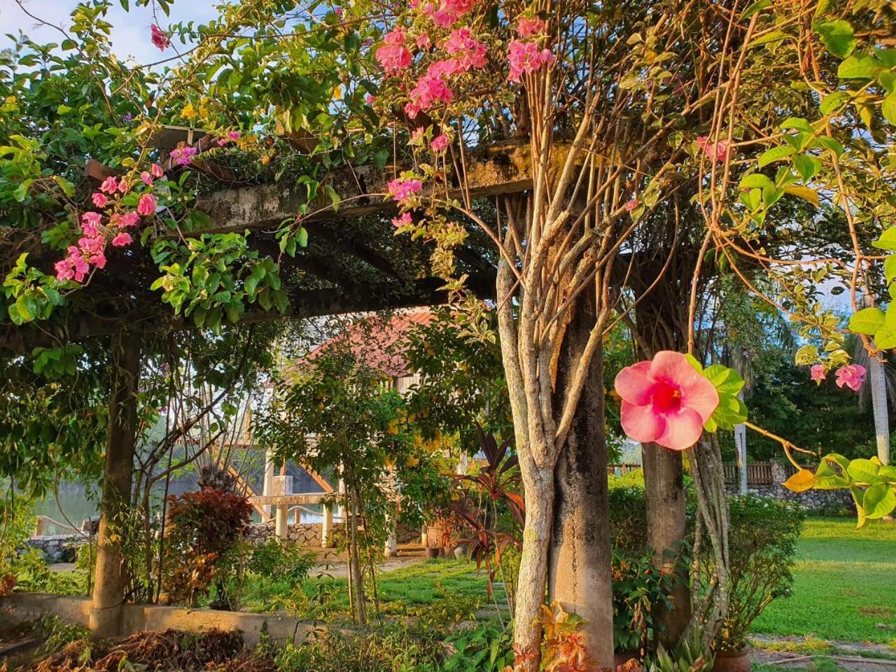 Ala Riverview Holiday home Kota Bharu